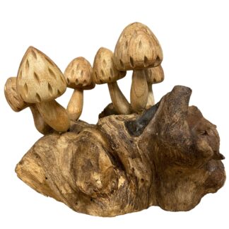 Six magic mushrooms on root base